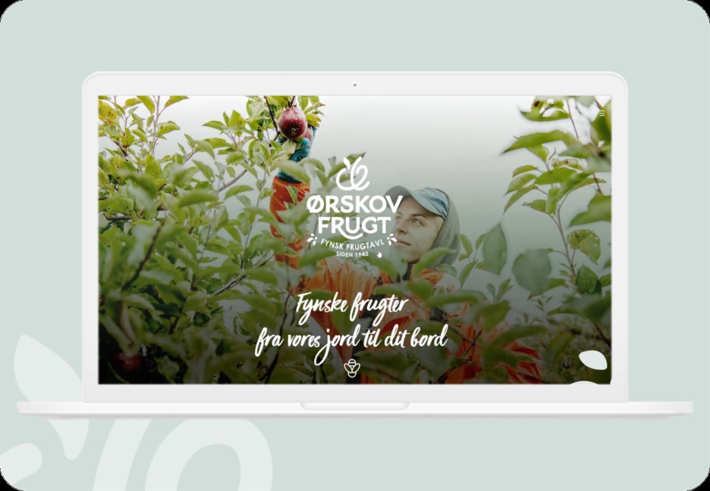 Ørskov Frugt, website forside med logo og frugtplukning på Fyn
